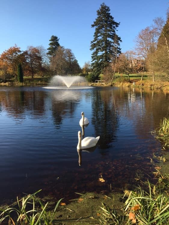 Stillness and Serenity