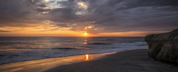 Ocean Dreams