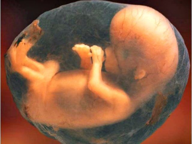 Unborn Child 2