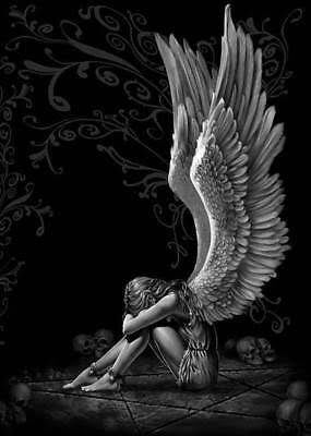 Eternal dove.