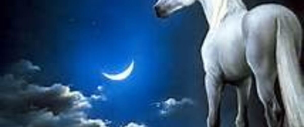 THE UNICORN OF LOVE