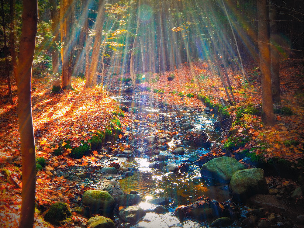 Autumn Song