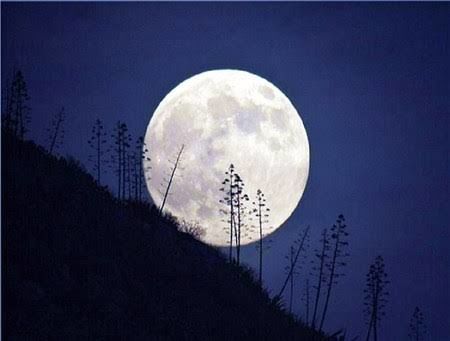 Dear moon.