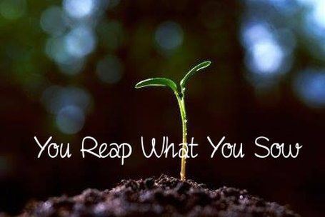 ‘You reap what you sow’ | CosmoFunnel.com