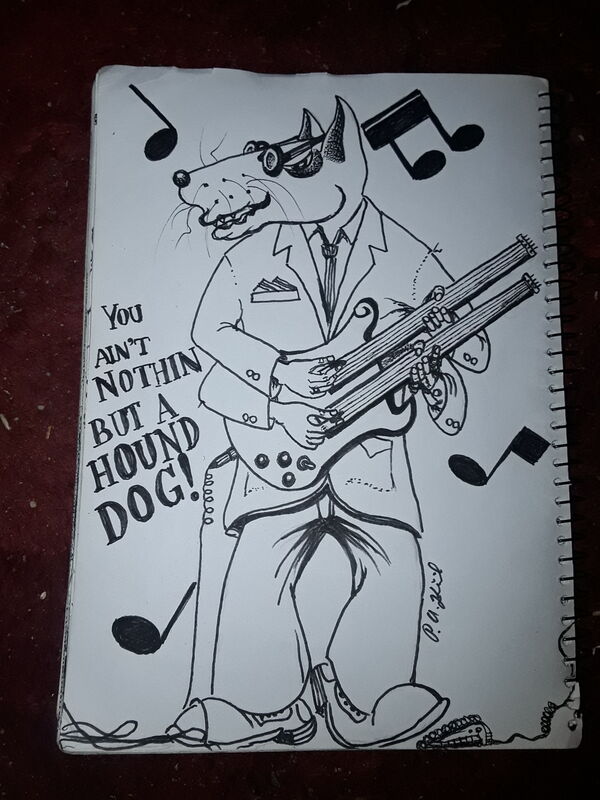 Talented dog 