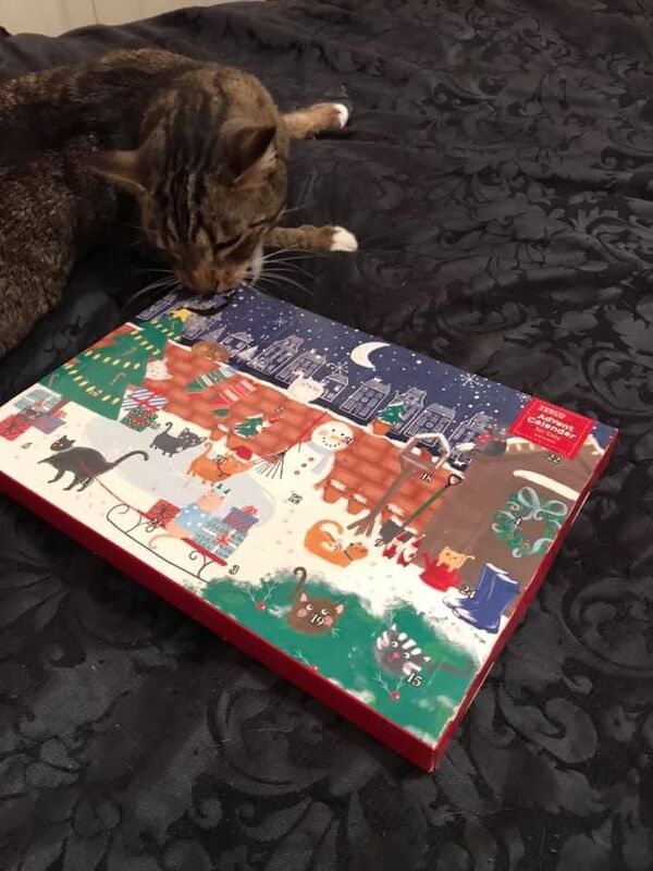 Kitty’s Advent Calender