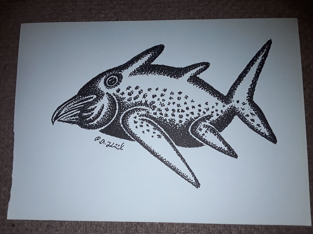 Bird fish 