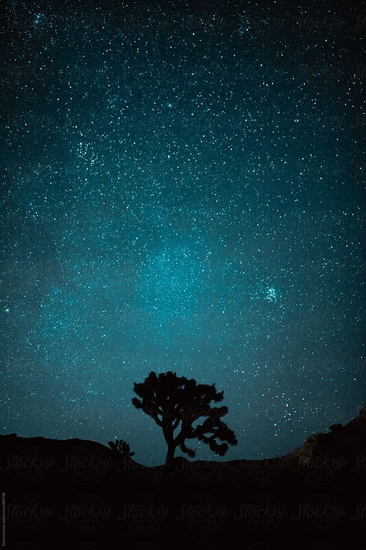 Gods canopy of stars