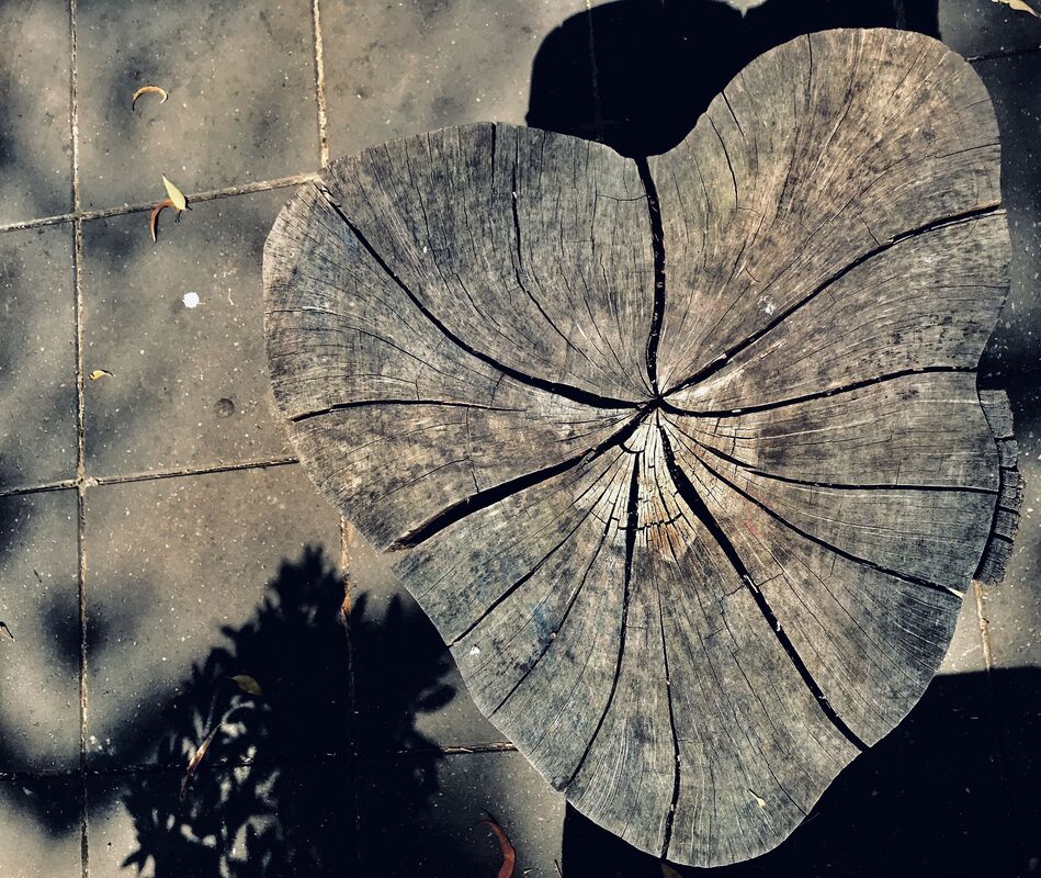 heart of love
