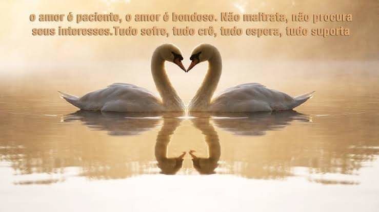 Tè amo mi amorè