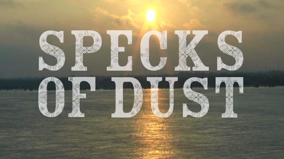 Specks of dust