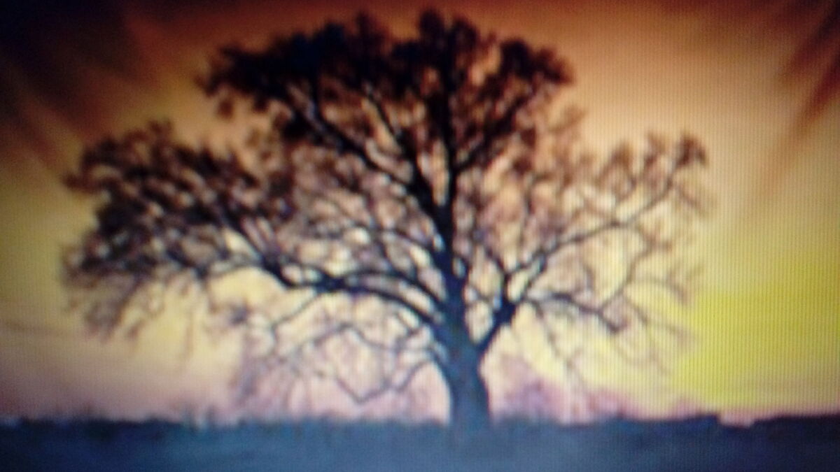 Trees To Remember