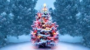 At this time of year