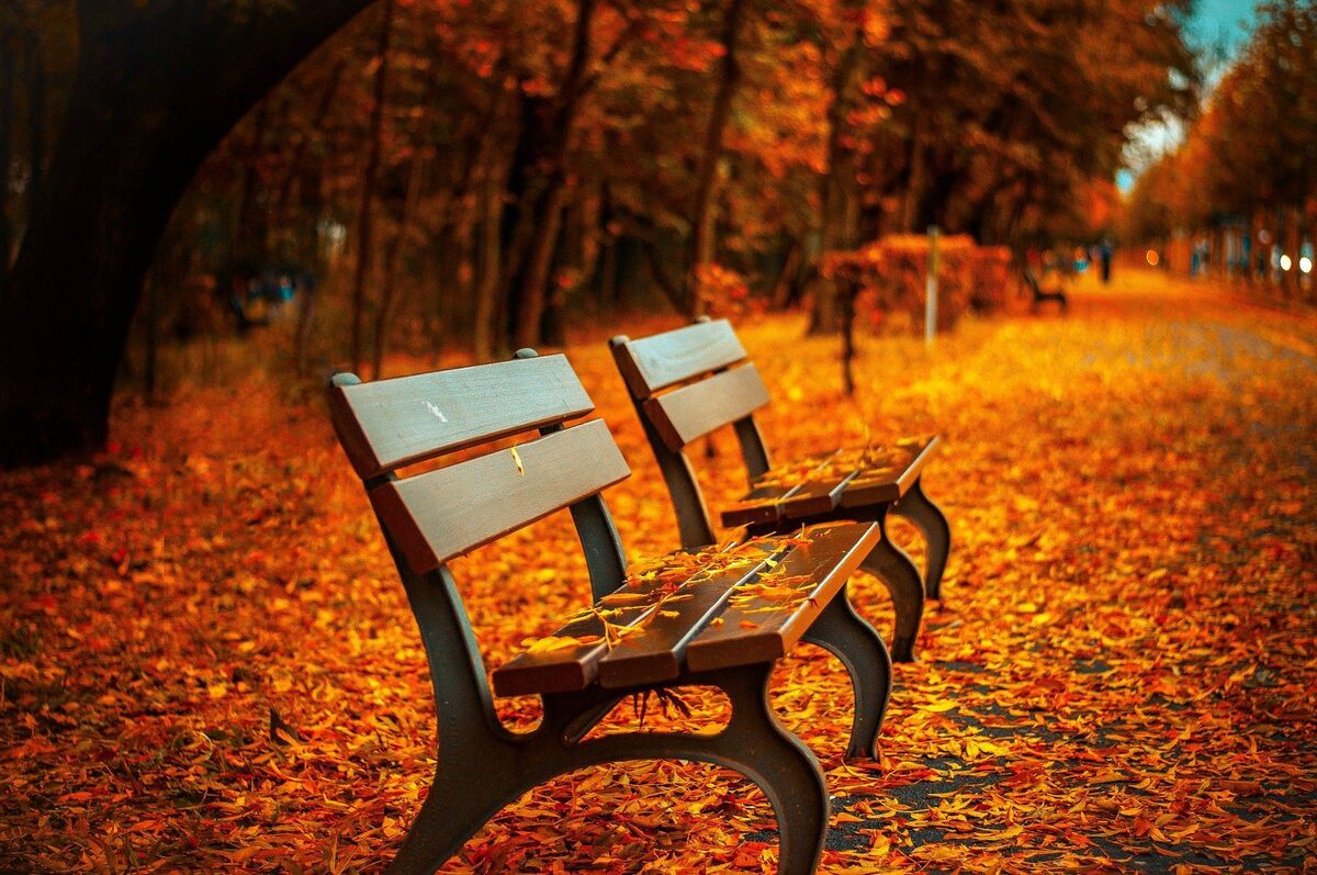 Autumn's Father