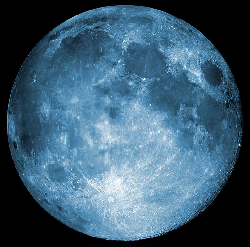 MOON MEAT