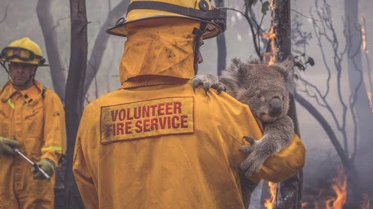 The Volunteer Firefighter