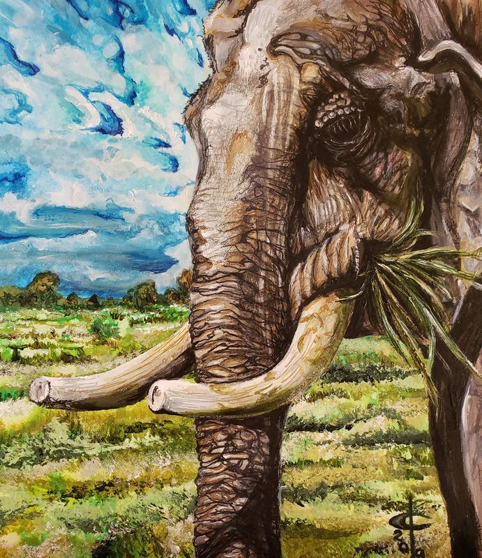 Mellowphant