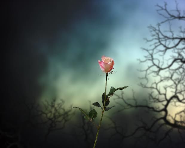 Hope is like a flower