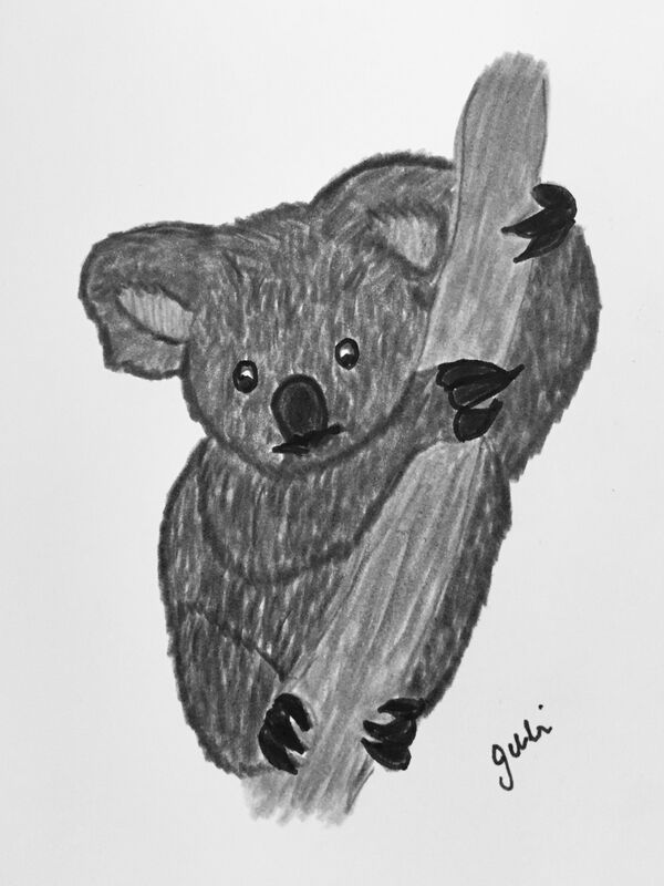 Save our Koala