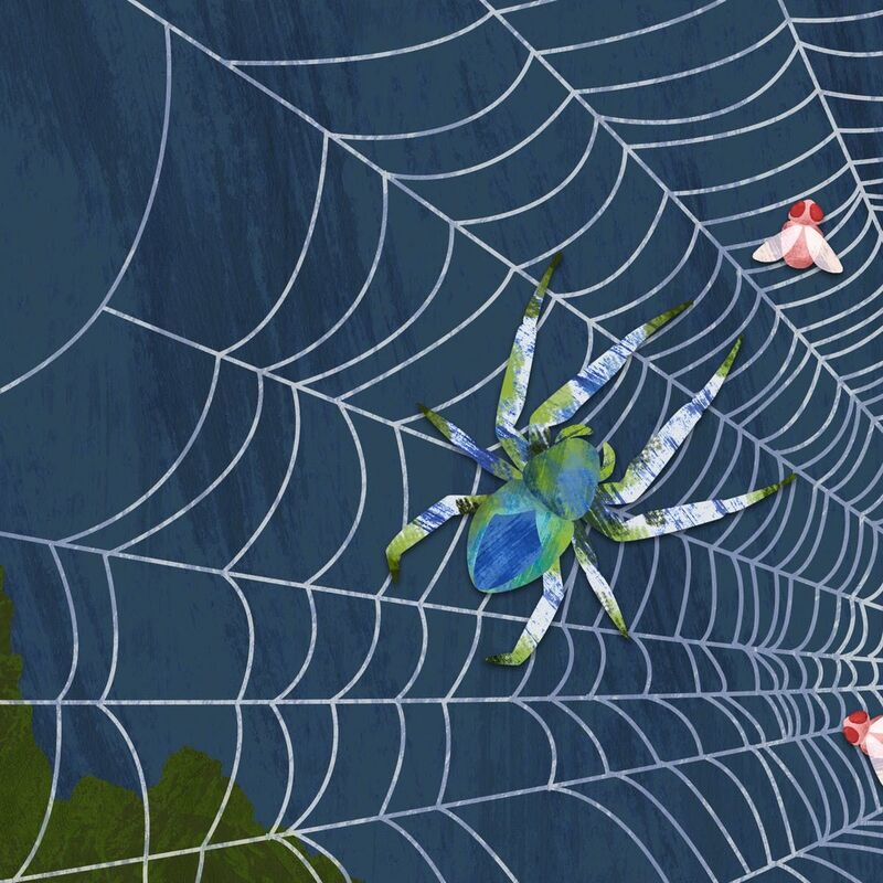 Webs Of Woven Weavements
