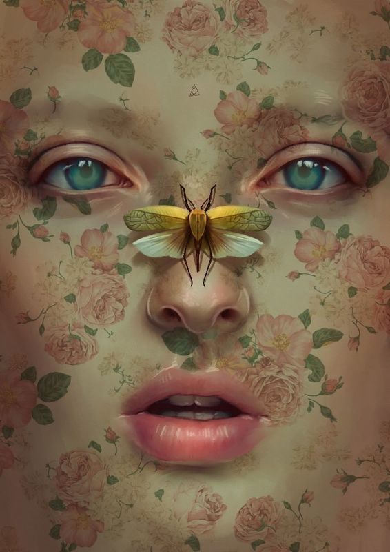 Barnabas Moth
