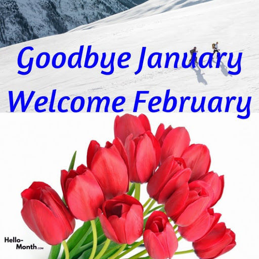 Goodbye January