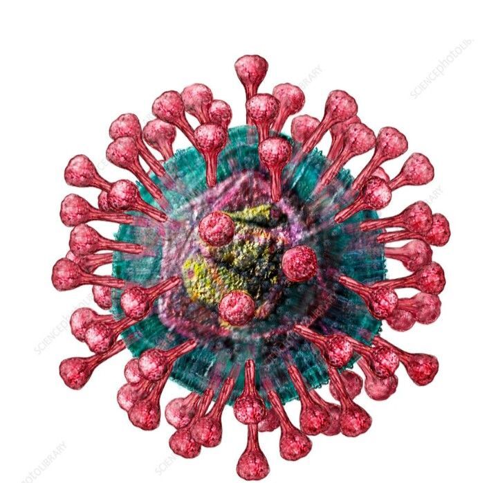My plague