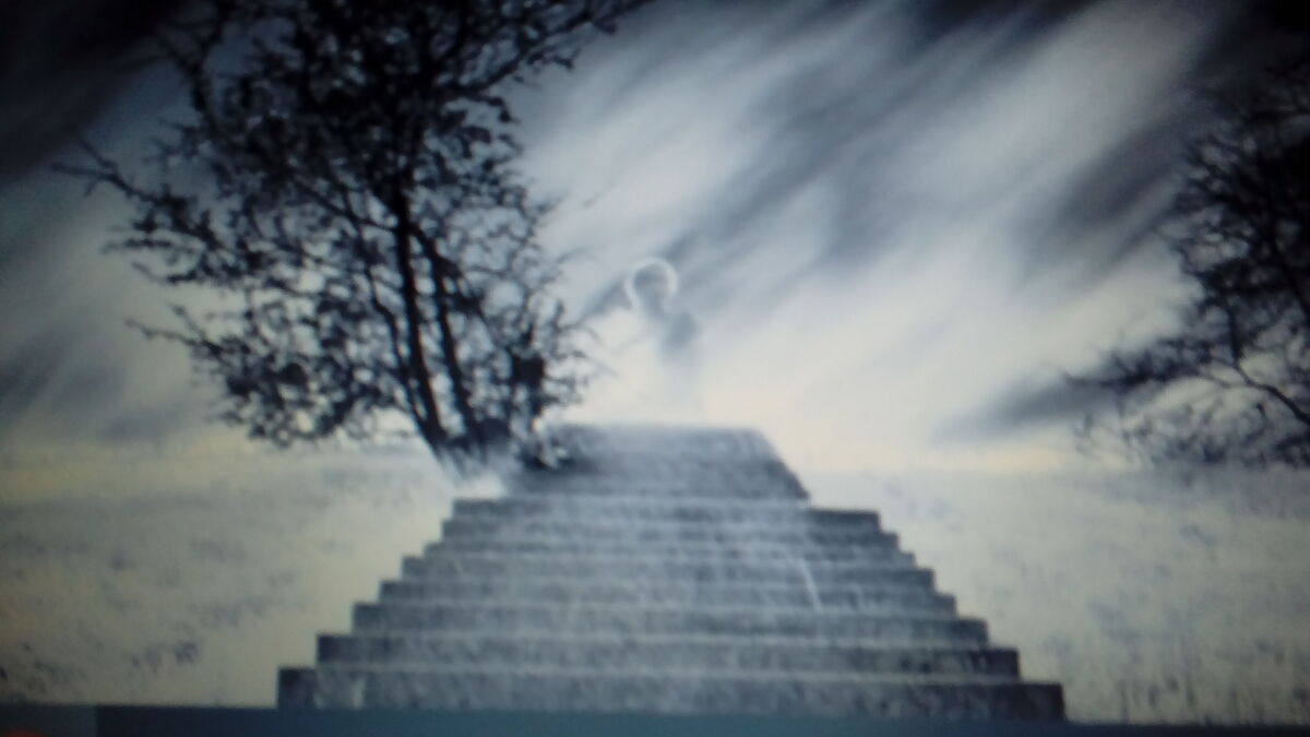 Stepping Into Another World