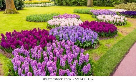 A GARDEN OF LOVE
