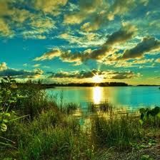 Beautiful World