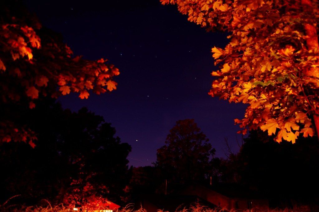 Autumn Morning