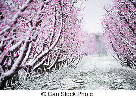Roll on Springtime