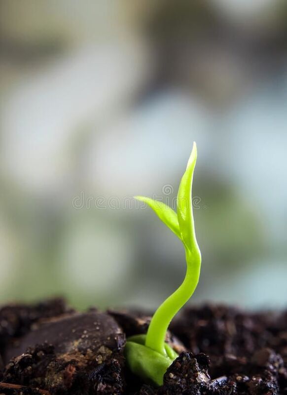 To a New Life!