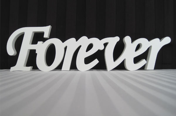 THE DAY FOREVER PAUSED