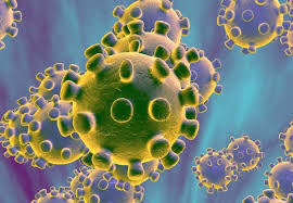 Outbreak