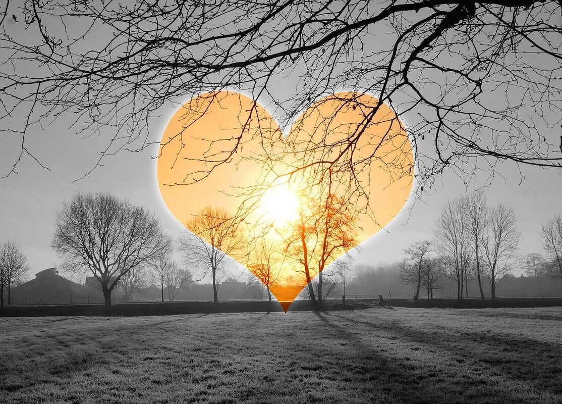 Loves New Dawn