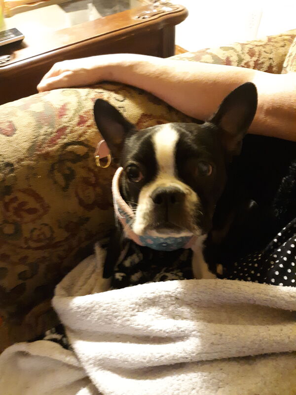 Sadie