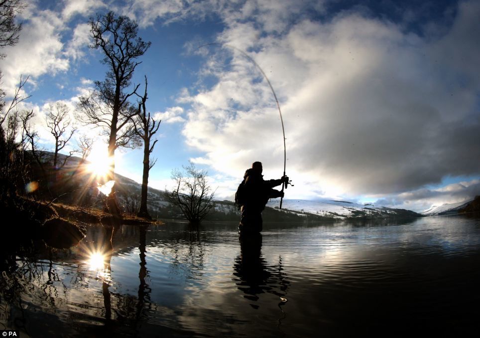 The Fisherman