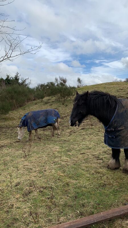 Billy and Bess?❤️