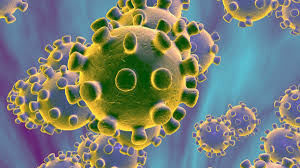 Coronavirus microbe (COVID-19)