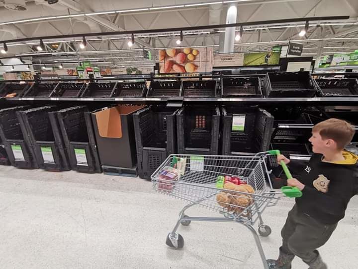 My grandson goes shopping