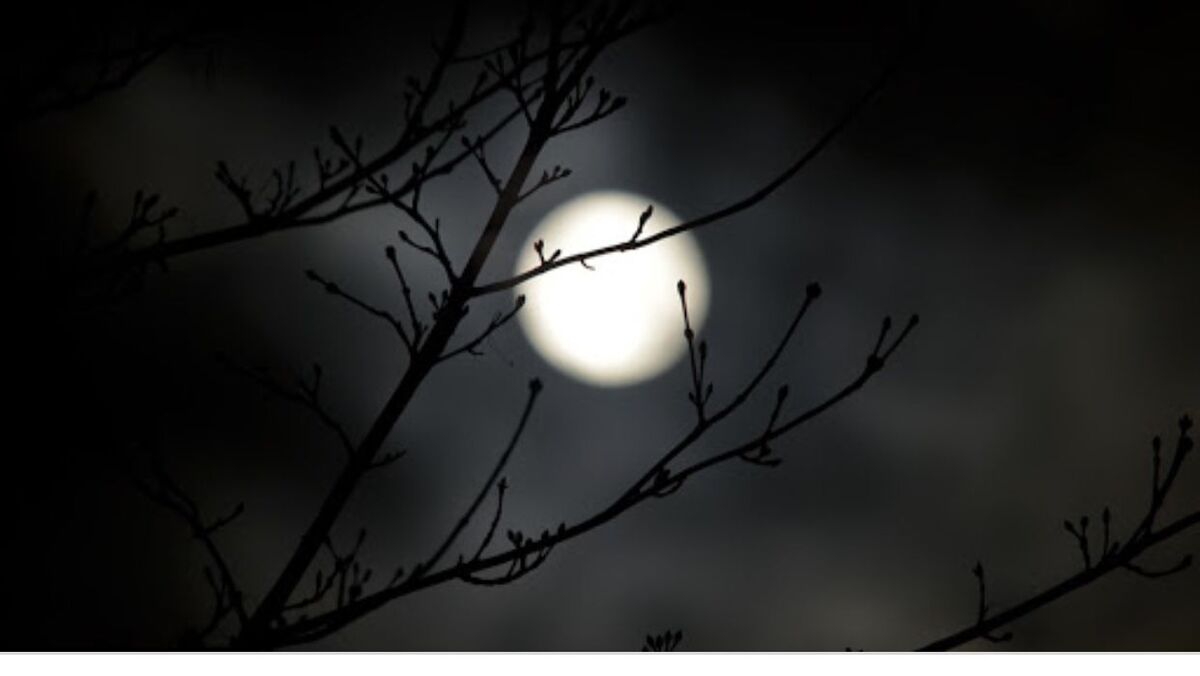 Into The Darkness