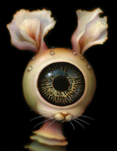 a snail, plumb in the crease