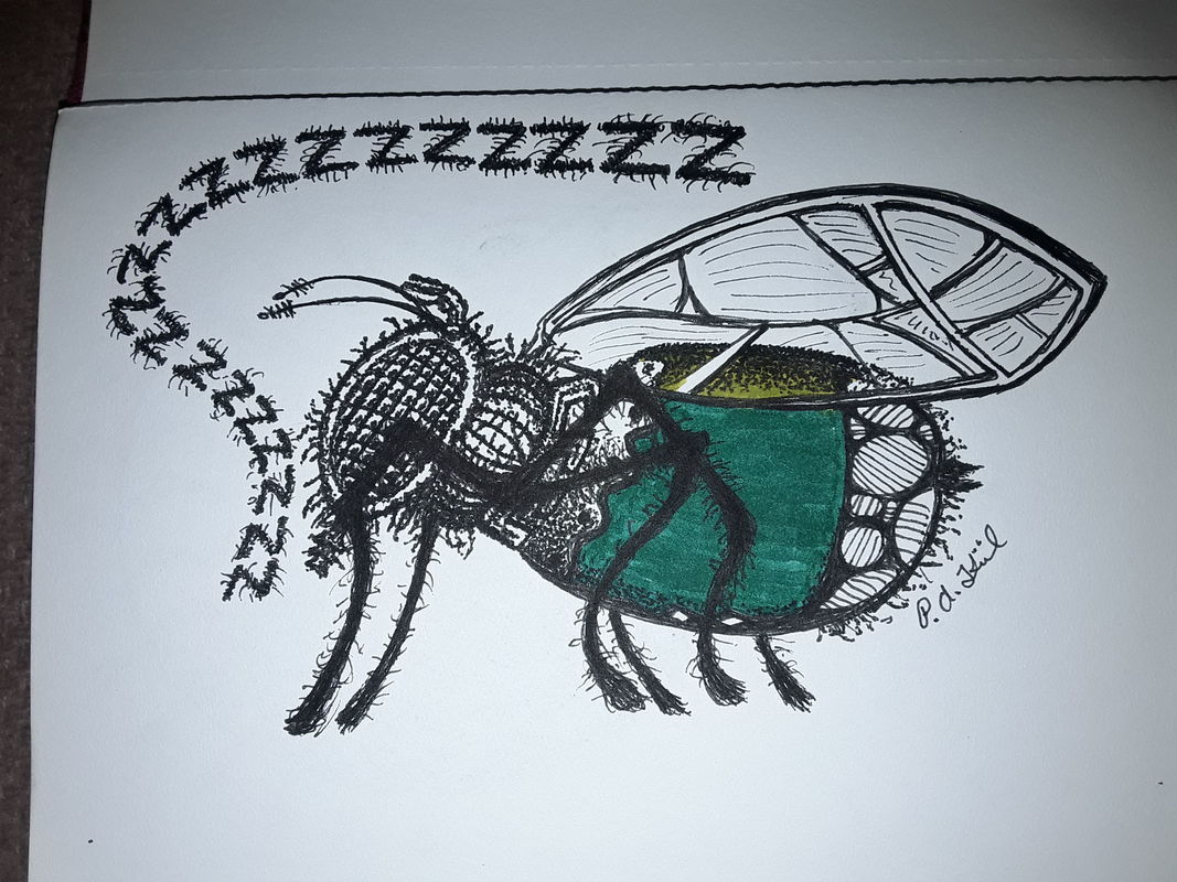 Fly 
