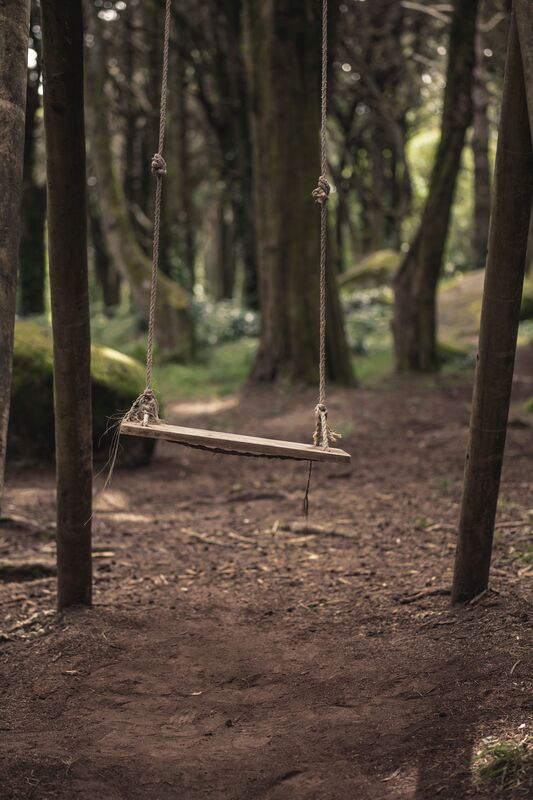 The Swings