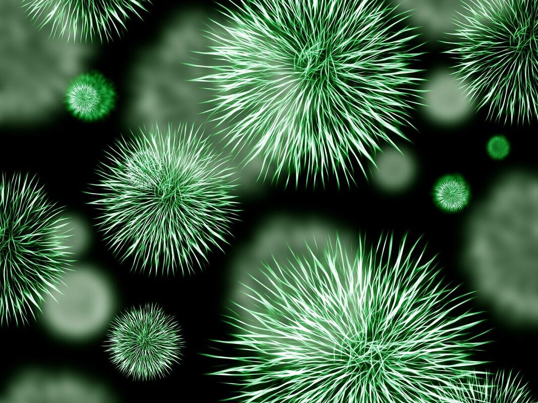 VIRUS