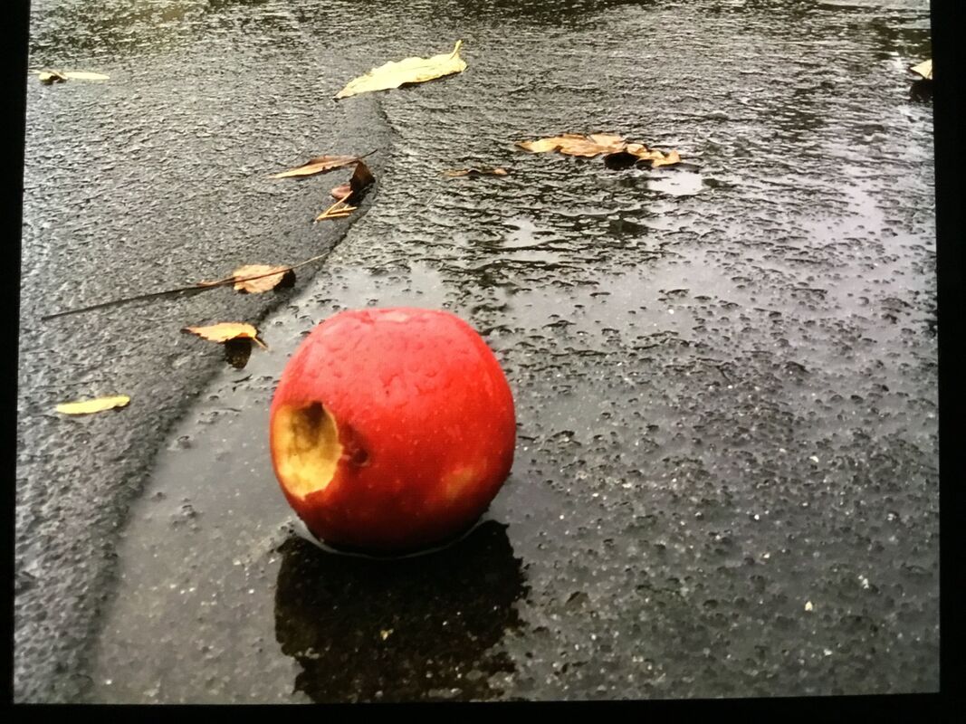 Fruitful