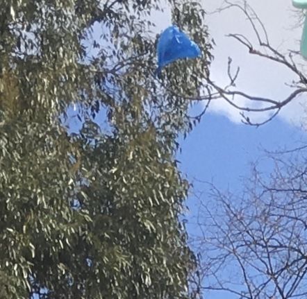 The blue plastic bag 