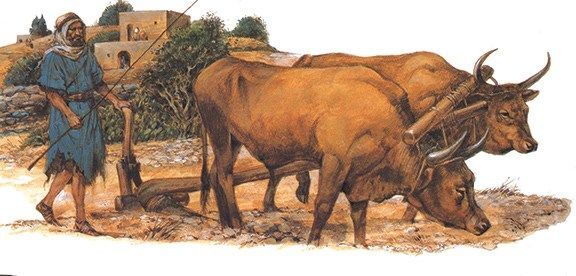 Yoke