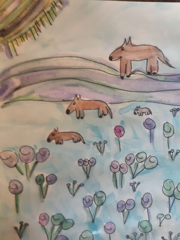 Horses